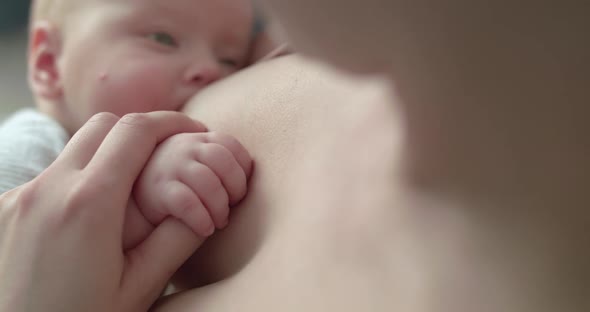 Cute Baby's Hand in Mother's Hand at Chest During Breastfeeding