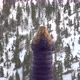 Blonde Girl Raises Her Hands Up Against the Background of Snowy Pine Forest in the Mountain - VideoHive Item for Sale