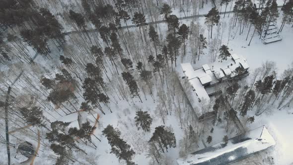 A Plot in the Forest in Which a Mysterious Mansion is Hidden Whose Roofs are Covered with Snow