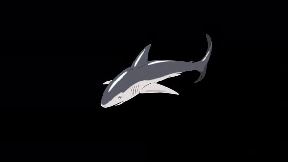 Gray shark attack alpha matte