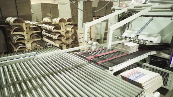 A Working Conveyor in a Paper Mill. Technology, Factory, Kyiv, Ukraine