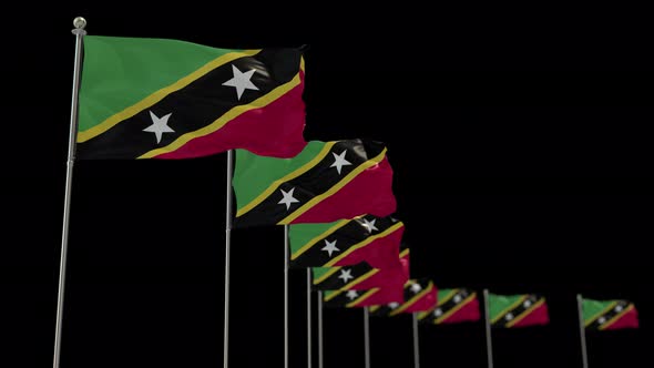Saint Kitts and Nevis Row Of Flags Animation Include Alpha Channel alt