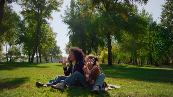 Joyful Family Blowing Soap Bubbles Sitting on Blanket Together in Sunny Park