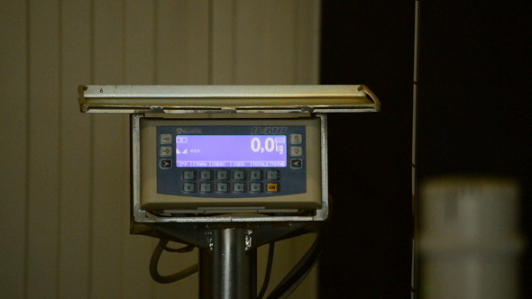 Weight Industrial Machine Screen
