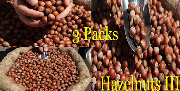 Hazelnuts