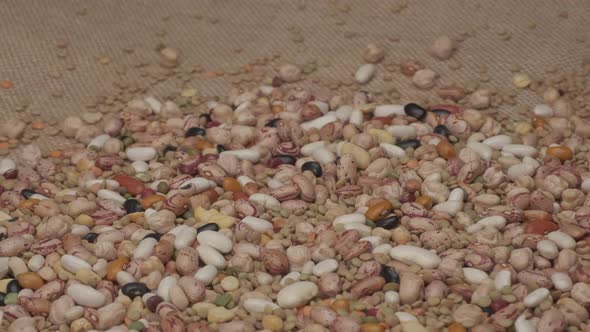 Mixed Legumes Beans