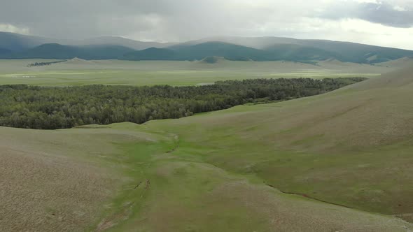 Trees, Forest and Vast Meadow in The Big River in Wide Valley of Asia Geography