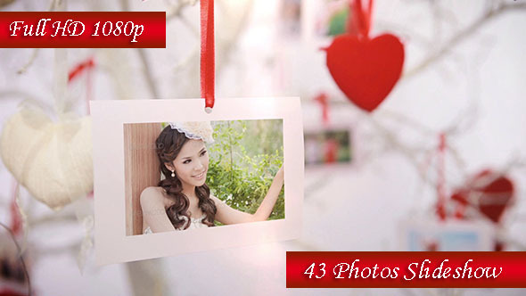 Photo Gallery On The Tree Of Love