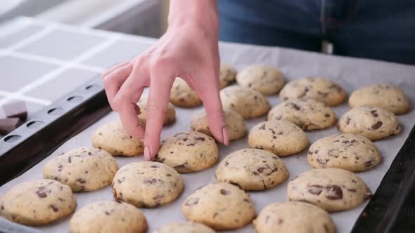 Woman Holding Fresh Made Homemade Soft Chocolate Chip Cookies
