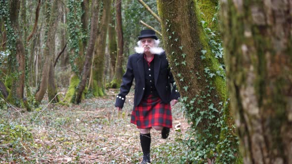 Older man with beard walking through woodland, leprechaun concept