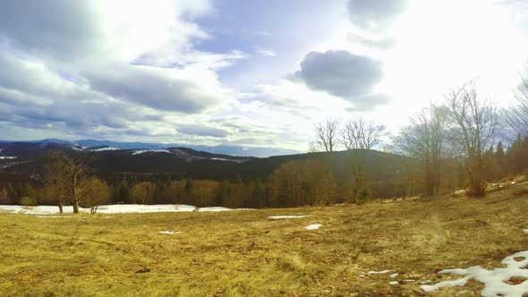 Last Snow in the Forested Mountains