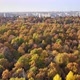 Autumn Forest, Russia, Aerial View - VideoHive Item for Sale