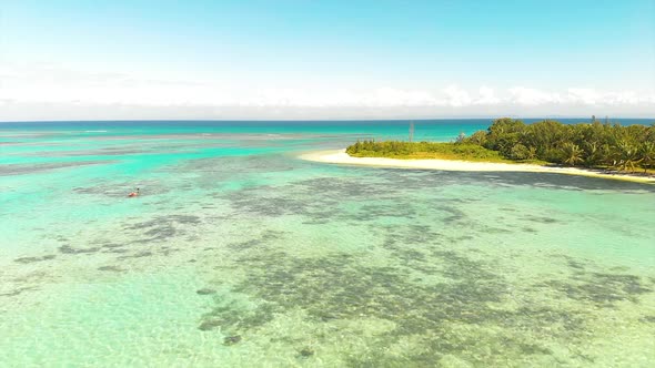 Aerial view of tropical beach with palm trees and azure water