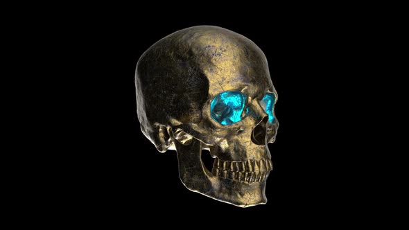 Bronze Human Skull with Blue Eyes Looped Animation