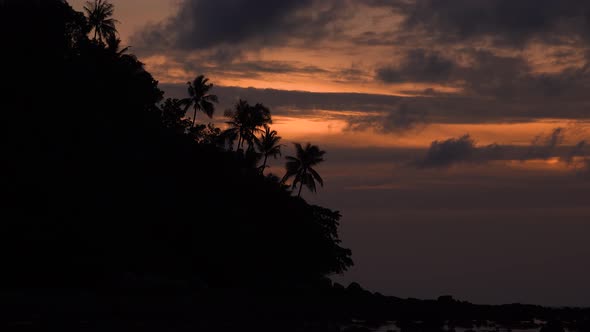 Coconut palm trees on sunset and tropical island through palm leaves.