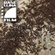 Anthill with Ants - VideoHive Item for Sale