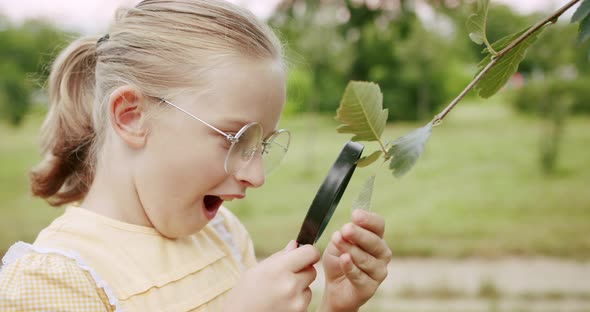 A Teenage Girl Looks Through the Magnifying Glass at the Micro World of Insects