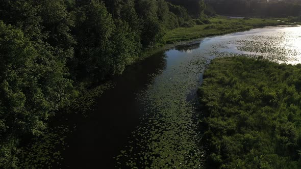 Top View of the Svisloch River in the City's Loshitsa Park with Lilies at Sunset