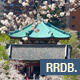 Cherry Blossom at Ueno Temple - VideoHive Item for Sale