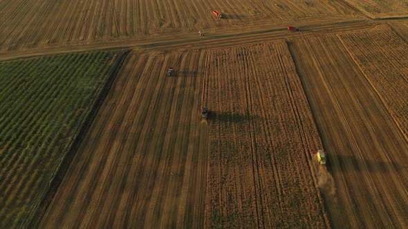 Running Harvesters At Sunset