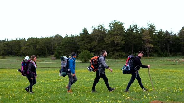 Group Of Hikers