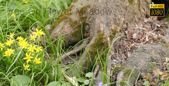 Tree On Flower Meadow alt