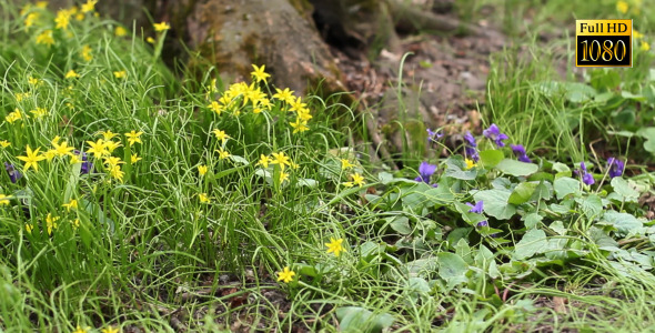 Tree On Flower Meadow 2 alt