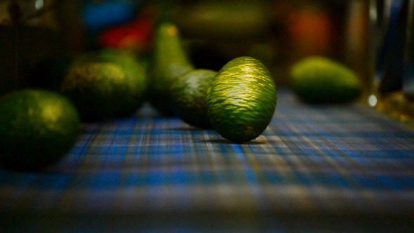 Hass Avocados in Packaging Line
