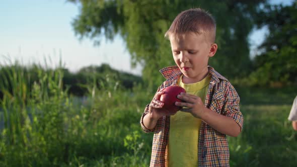 Portrait of Cute Hungry Male Child with Appetite Eating Red Ripe Juicy Apple While Relaxing in