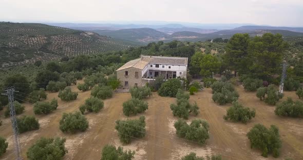 Aerial view of a traditional spanish cottage surrounded by olives.