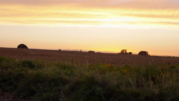 Sunset over farmers field with fencing silhouette in the distance