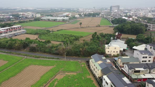 Aerial drone footage flying over green rice paddy field at agriculture city  Yunlin Taiwan.