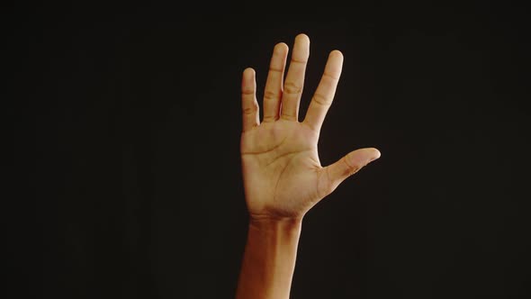 Black Skin Texture Closeup Hand Palm on Black Background