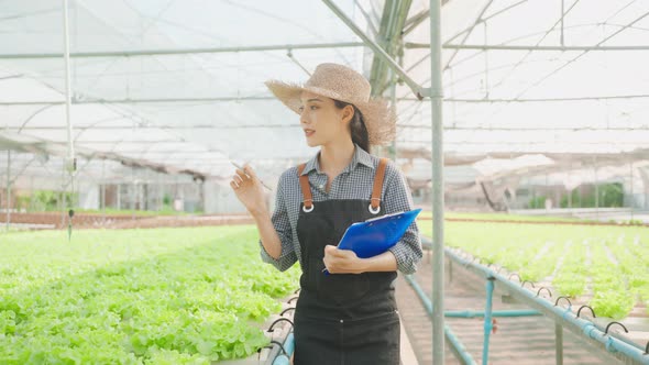 Asian young beautiful woman farmer work in vegetables hydroponic farm.