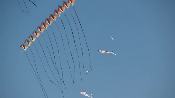 Exciting kites performance on Wind Festival in Valencia, Spain