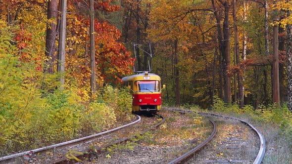 Tram rides in the autumn forest