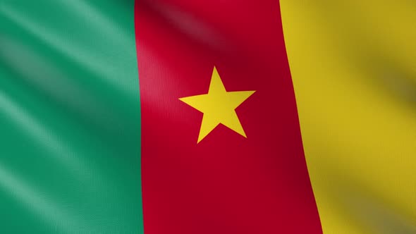 Flag of The Cameroon