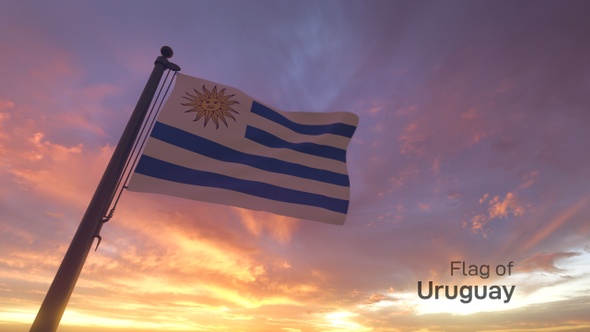 Uruguay Flag on a Flagpole V3