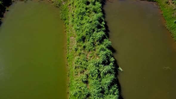 Drone tracking sideways over small fishing ponds on a fish farm in rural Brazil in the Tocantins reg