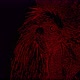 Two Faced Rooster - VideoHive Item for Sale