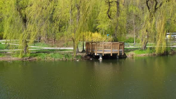 Beautiful Spring Alcove on Lake and Forest