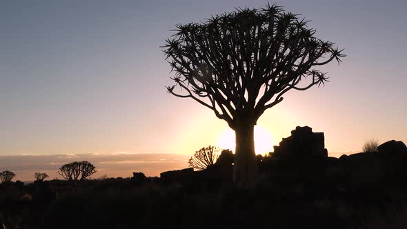 A Colorful Sunset in the African Desert