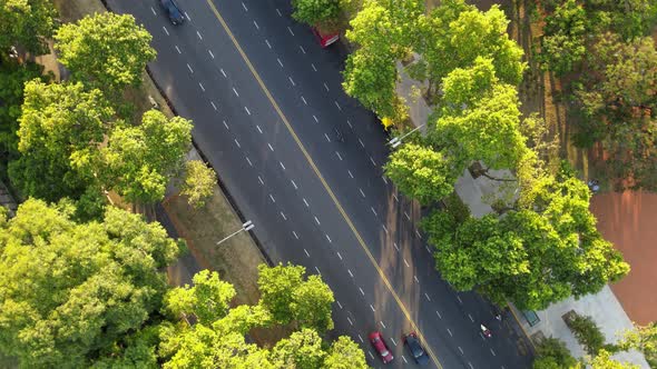 Aerial top down orbital of a busy avenue with cars passing by surrounded by trees.