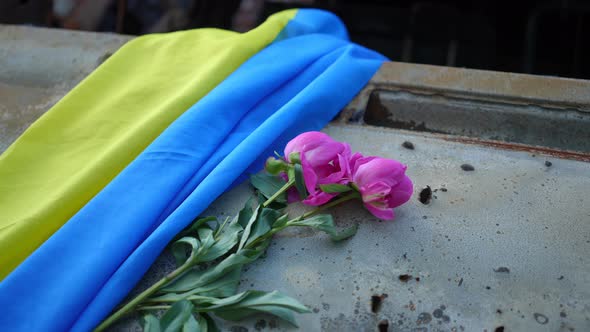 Closeup Tulips and Ukrainian Flag on Bombed Car Hood with Bullet Holes