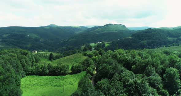 Green Nature Forest And Mountains Aerial View 