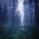 Moonlight in a magical forest HD - VideoHive Item for Sale