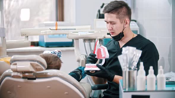 Young Man Dentist Showing a Plastic Model of Human Jaws To a Little Boy