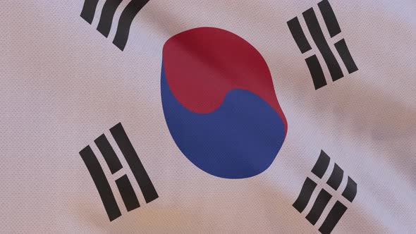 South Korea Flag 4K Seamless Loop