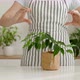 Woman in Apron Showing with Hands Heart Sign Above Small Ficus - VideoHive Item for Sale