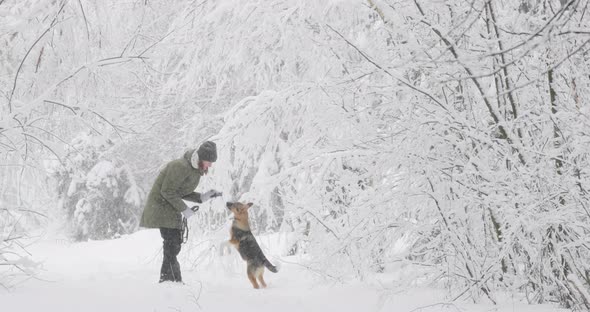 Young Beautiful Caucasian Girl Woman Dressed In Jacket Playing Wiht Puppy Of Mixed Breed Dog In